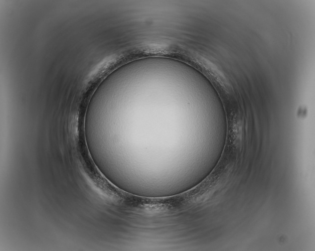 X0000097600686200803071430