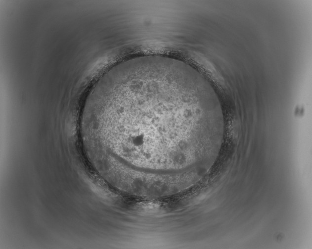 X0000097600687200803071430