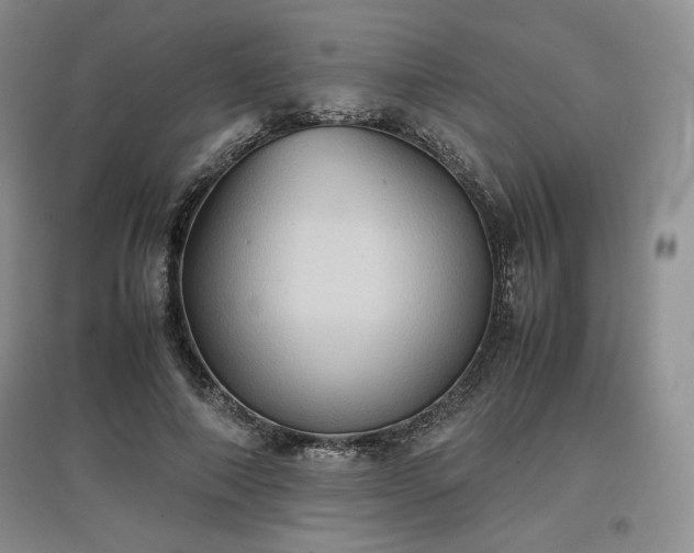 X0000097600690200803071430