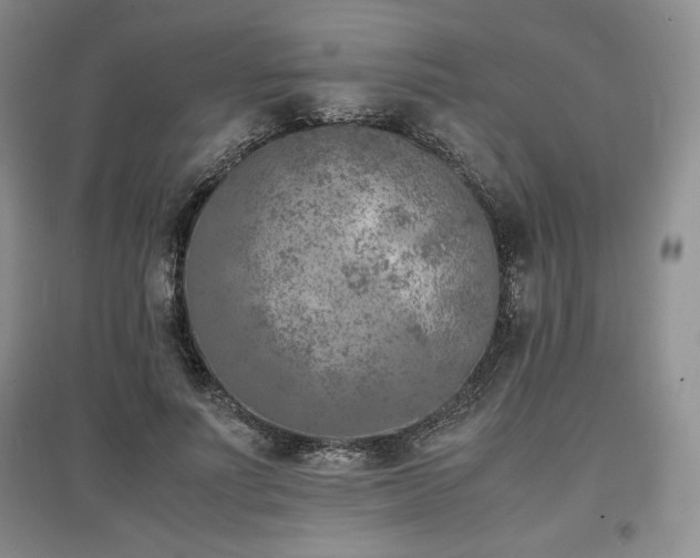 X0000097600691200803071430
