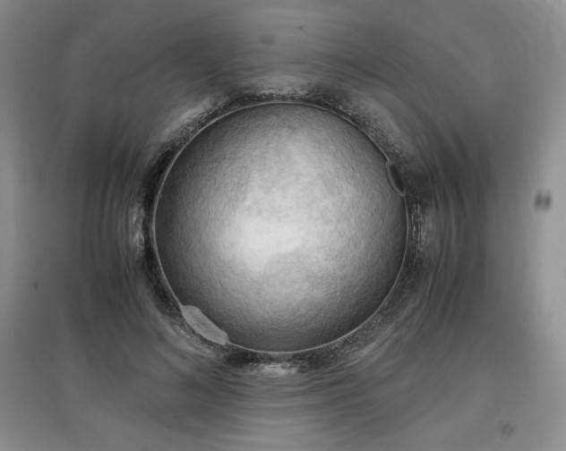 X0000097600692200803071430
