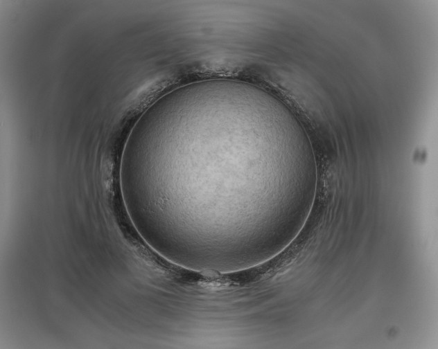 X0000097600693200803071430