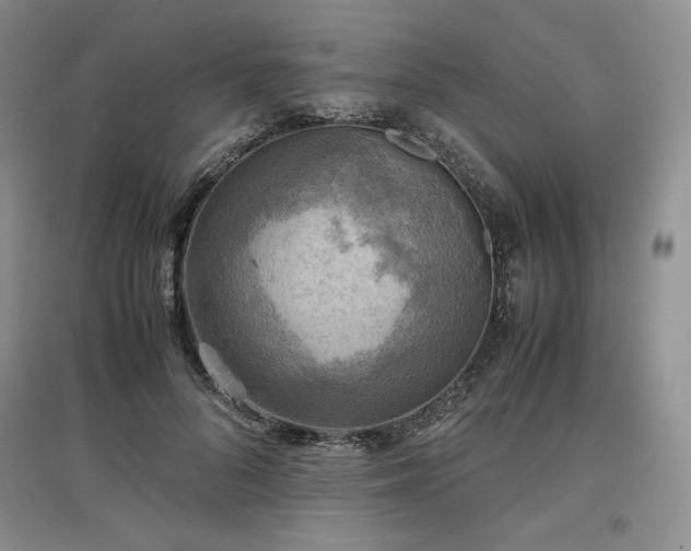 X0000097600696200803071430