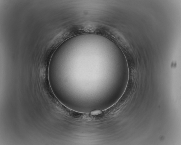 X0000097600697200803071430