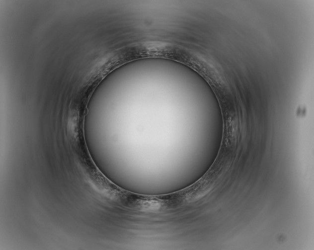 X0000097600698200803071430