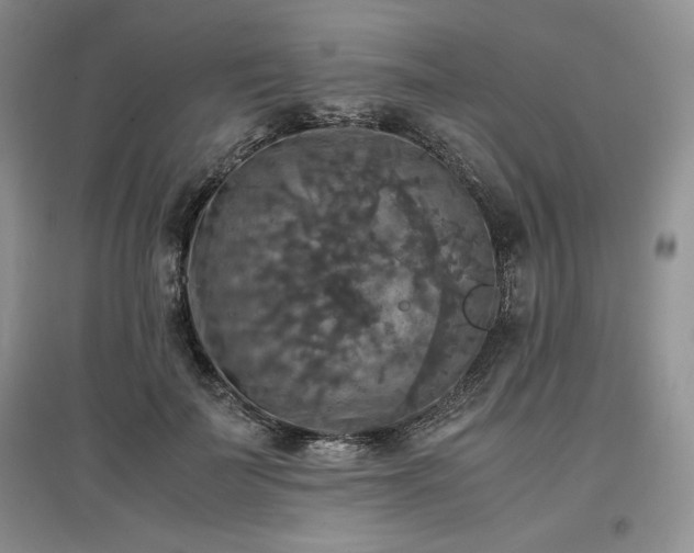 X0000097600699200803071430