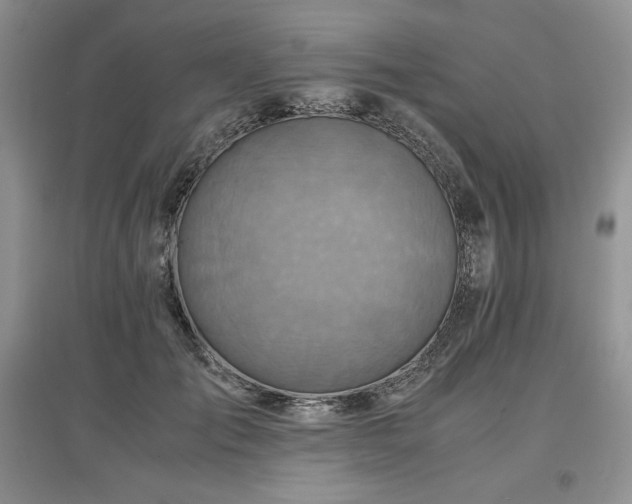 X0000097600701200803071430