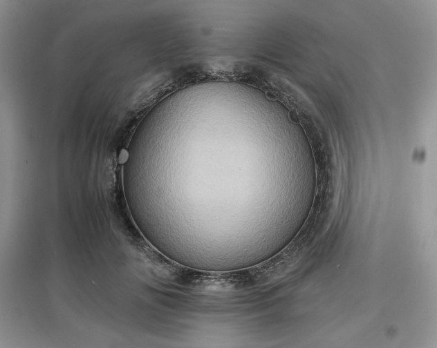 X0000097600702200803071430