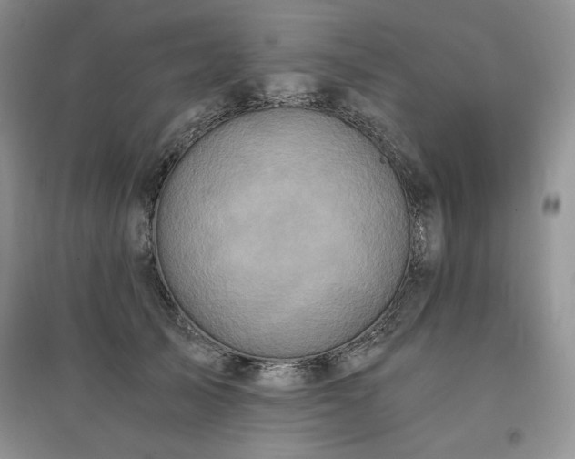 X0000097600705200803071429