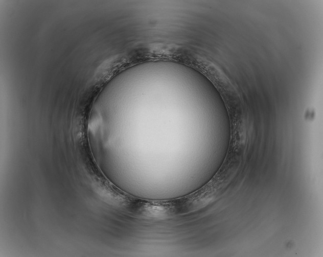 X0000097600706200803071429