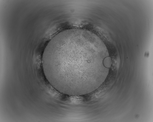 X0000097600707200803071429
