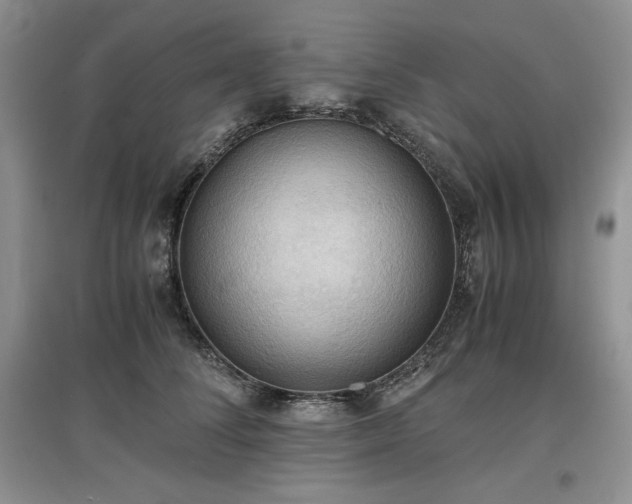 X0000097600708200803071429