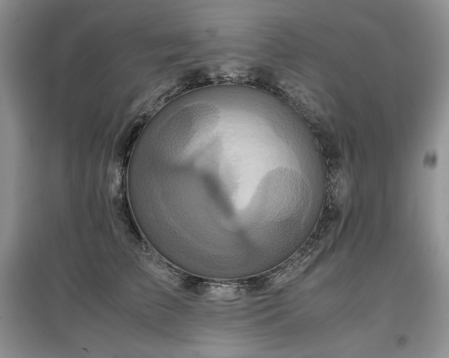 X0000097600709200803071429