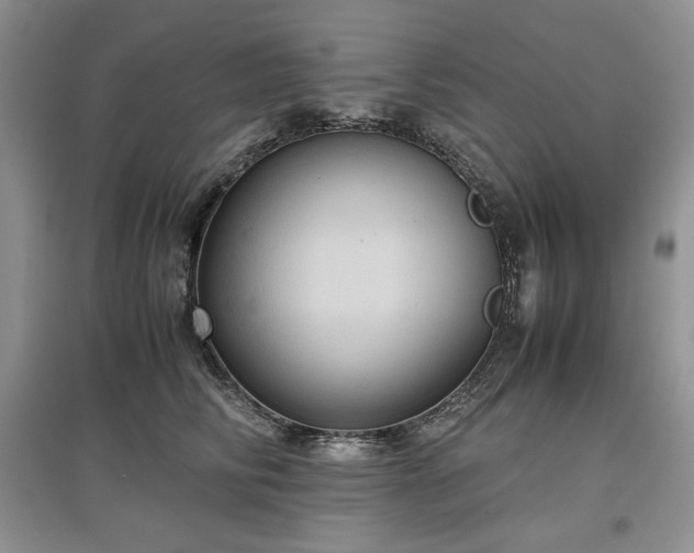 X0000097600710200803071429