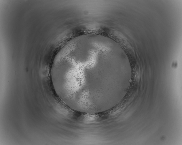 X0000097600711200803071429