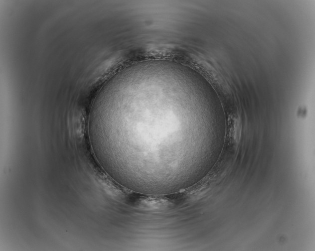 X0000097600712200803071429