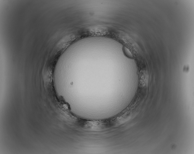 X0000097600713200803071429