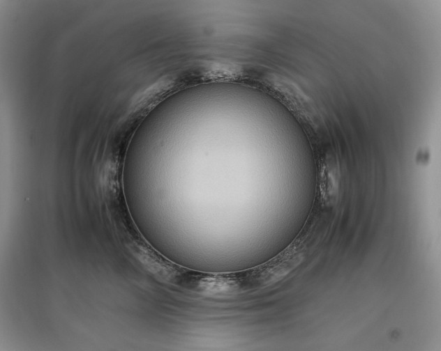 X0000097600714200803071429