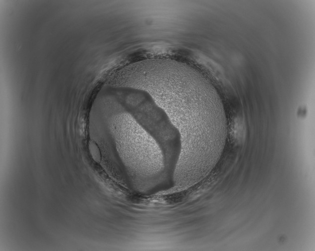 X0000097600715200803071429