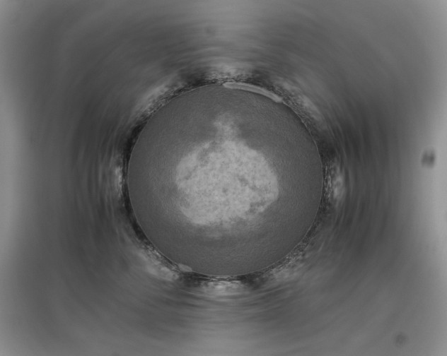 X0000097600716200803071429