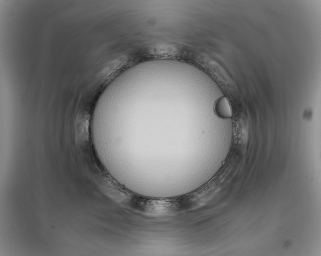 X0000097600717200803071429