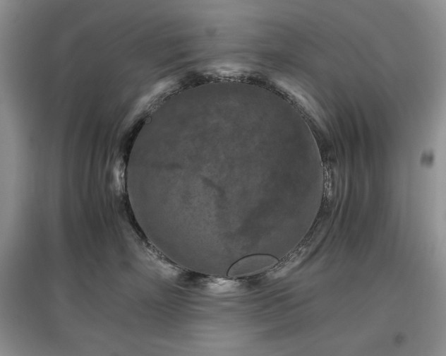 X0000097600718200803071429