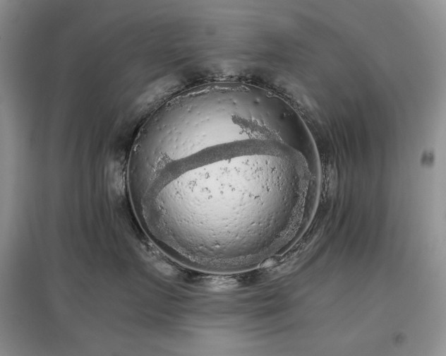 X0000097600719200803071429