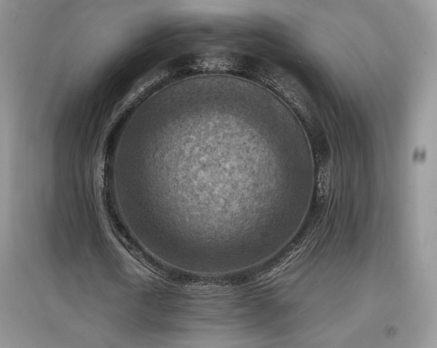 X0000097600722200803071429