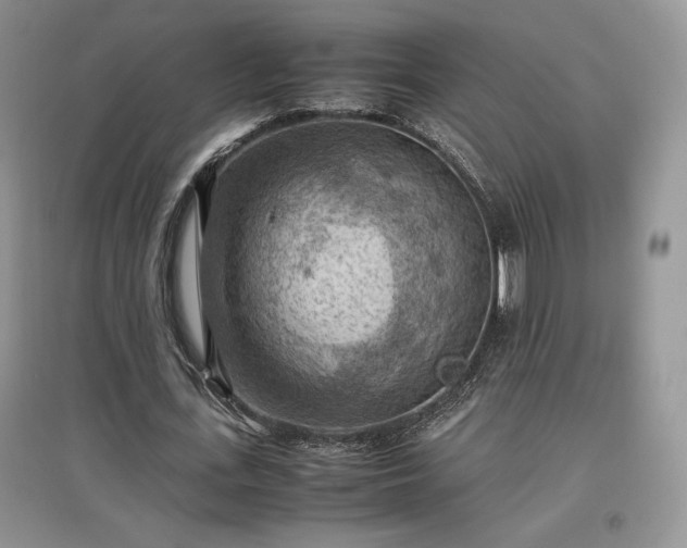 X0000097600723200803071429