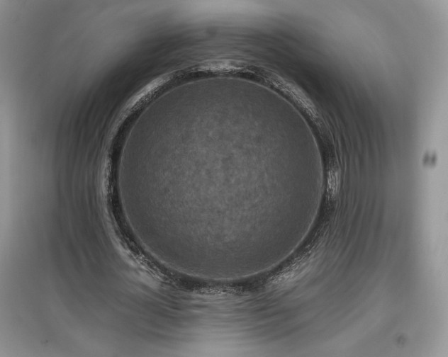 X0000097600724200803071429