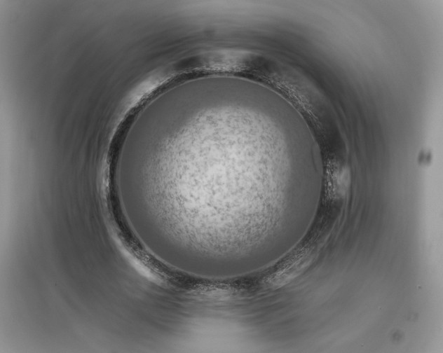 X0000097600726200803071429