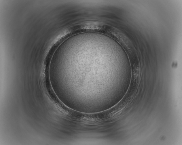 X0000097600727200803071429