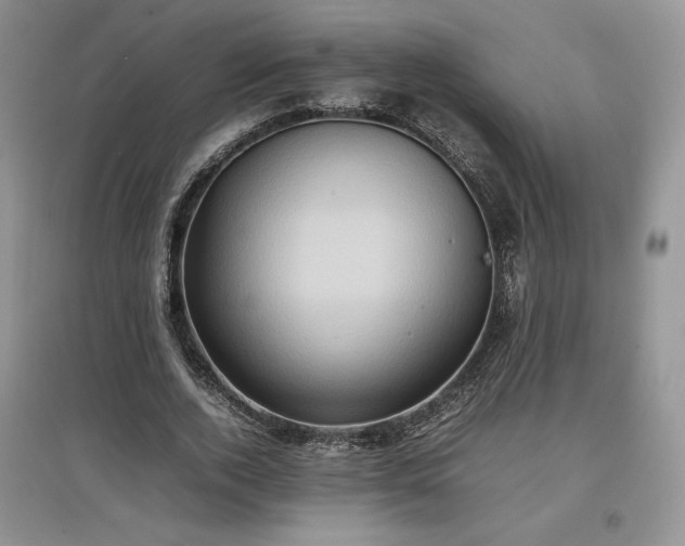 X0000097600728200803071429