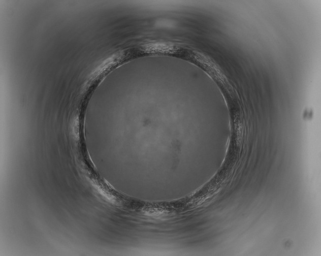 X0000097600729200803071429