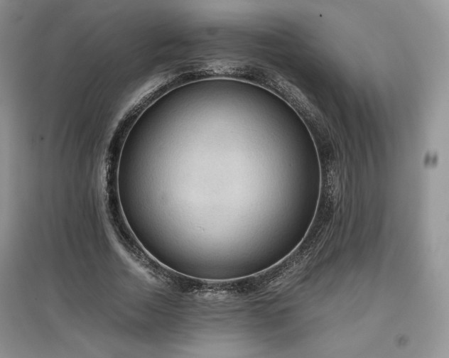 X0000097600730200803071429