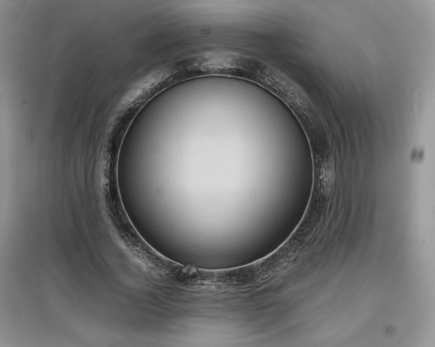 X0000097600732200803071429