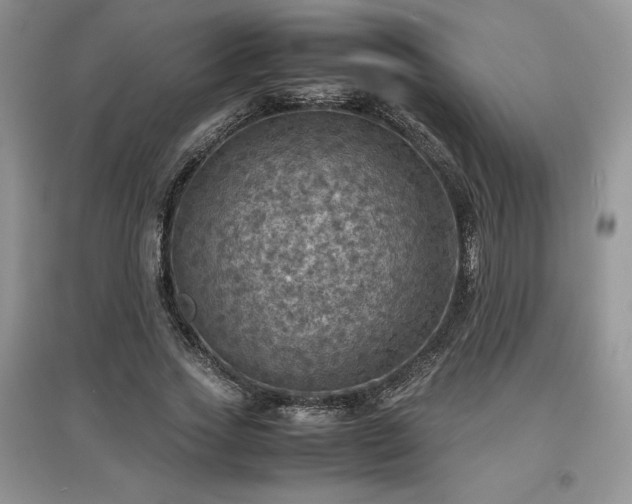 X0000097600733200803071429