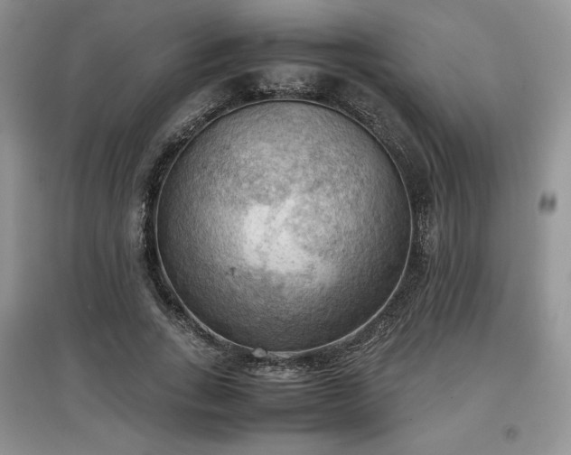 X0000097600735200803071429