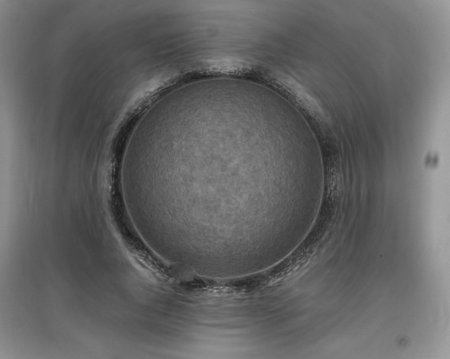 X0000097600736200803071429