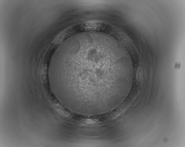 X0000097600737200803071429