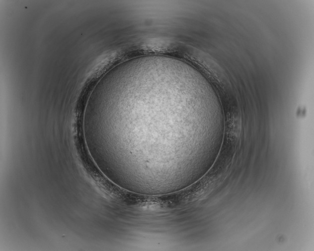 X0000097600738200803071429