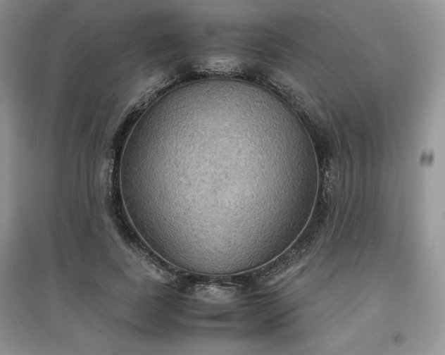 X0000097600739200803071429