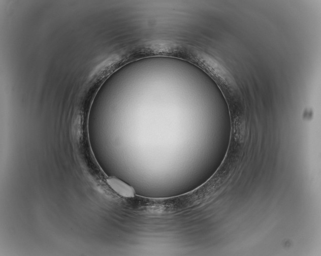 X0000097600740200803071429