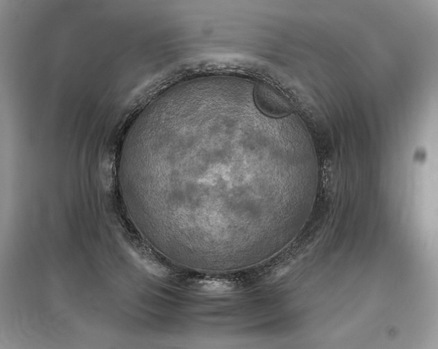 X0000097600741200803071429