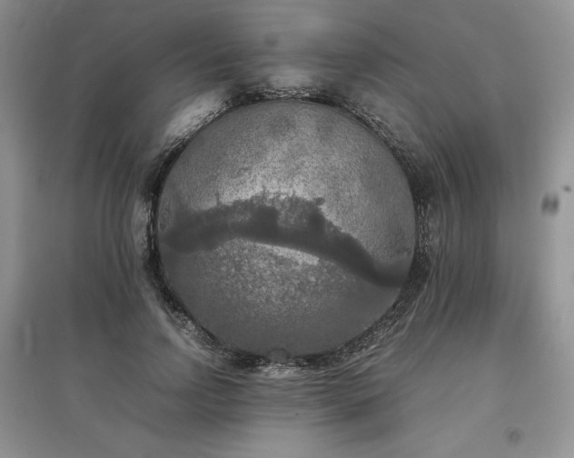 X0000097600742200803071429