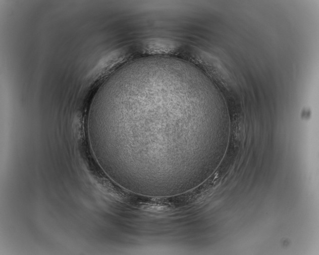 X0000097600743200803071429