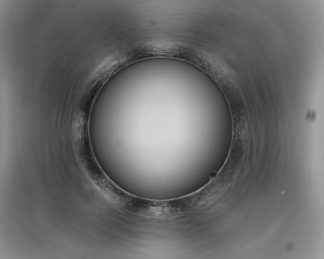 X0000097600744200803071429