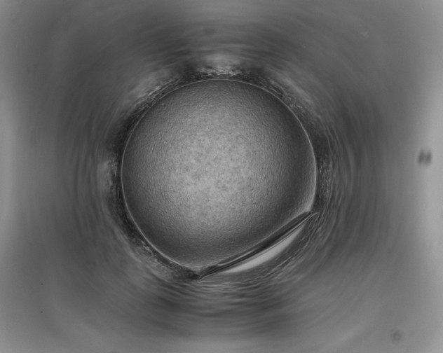 X0000097600747200803071429