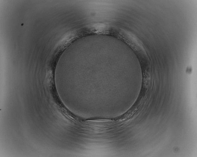 X0000097600748200803071429