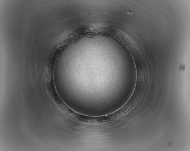 X0000097600751200803071429